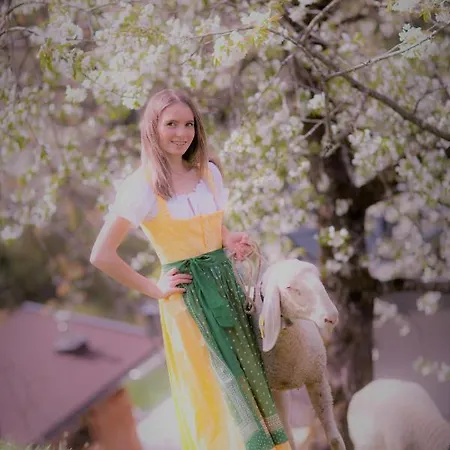 Landhaus Tuxerschafer 3* Tux