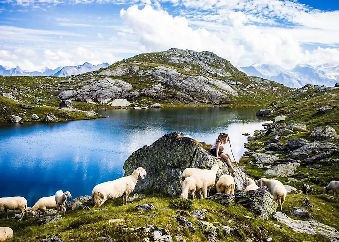 Bed & Breakfast Tuxerschafer